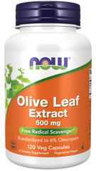 Olive Leaf Extract 500 mg Veg Capsules