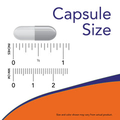 Pycnogenol® 60 mg Veg Capsules