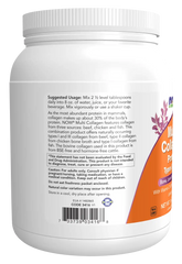 Multi Collagen Protein Types I, II & III Powder