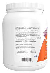Sunflower Lecithin Pure Powder