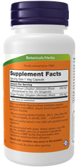 Ginger Root Extract 250 mg Veg Capsules