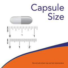 Ascorbyl Palmitate 500 mg Veg Capsules