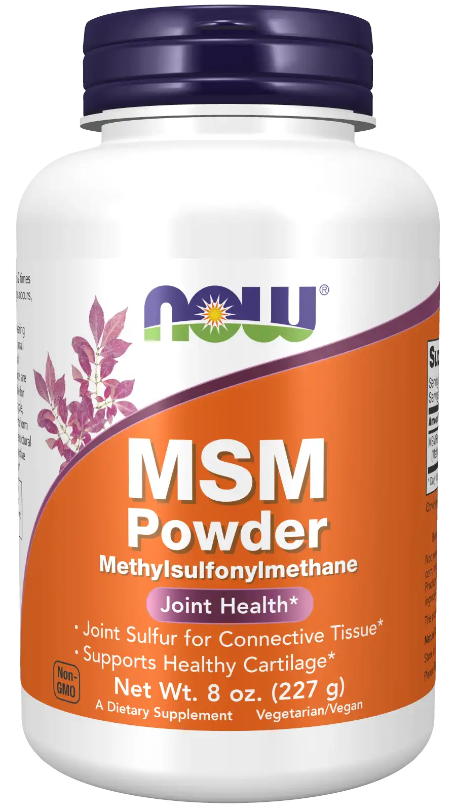 MSM Powder