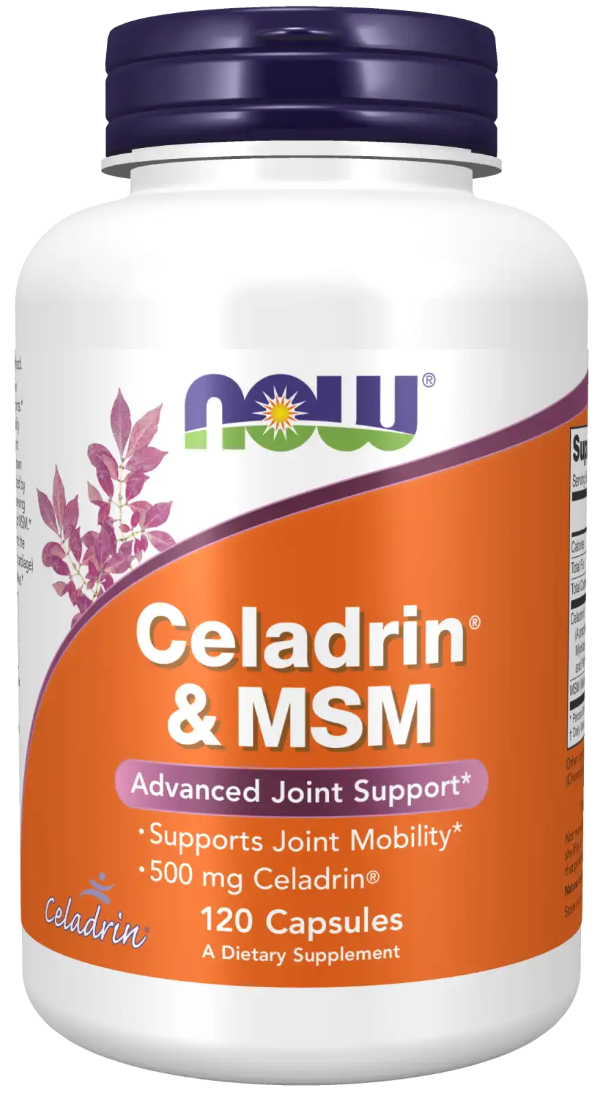 Celadrin® & MSM 500 mg Capsules