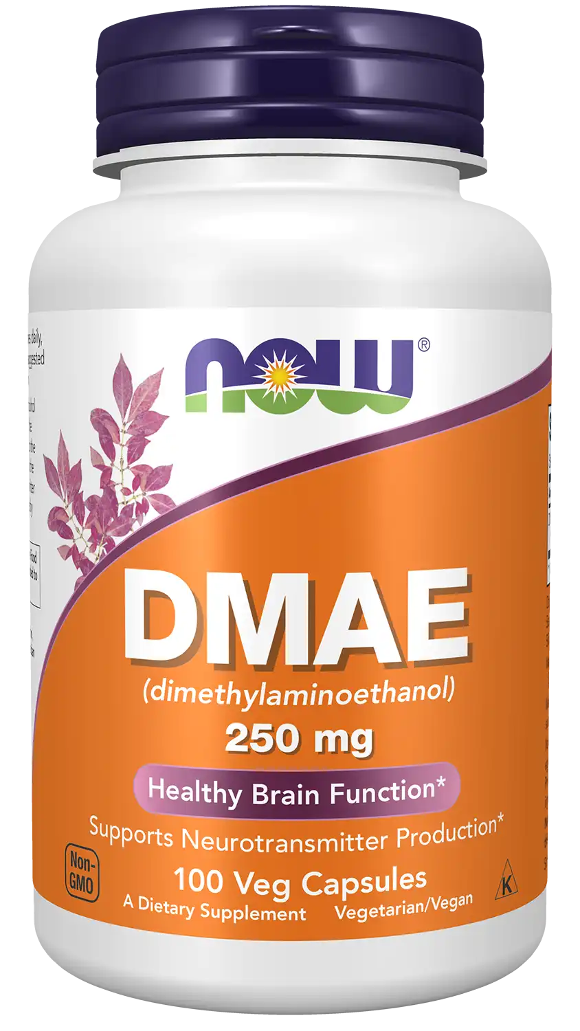 DMAE 250 mg Veg Capsules