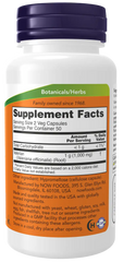 Valerian Root 500 mg Veg Capsules