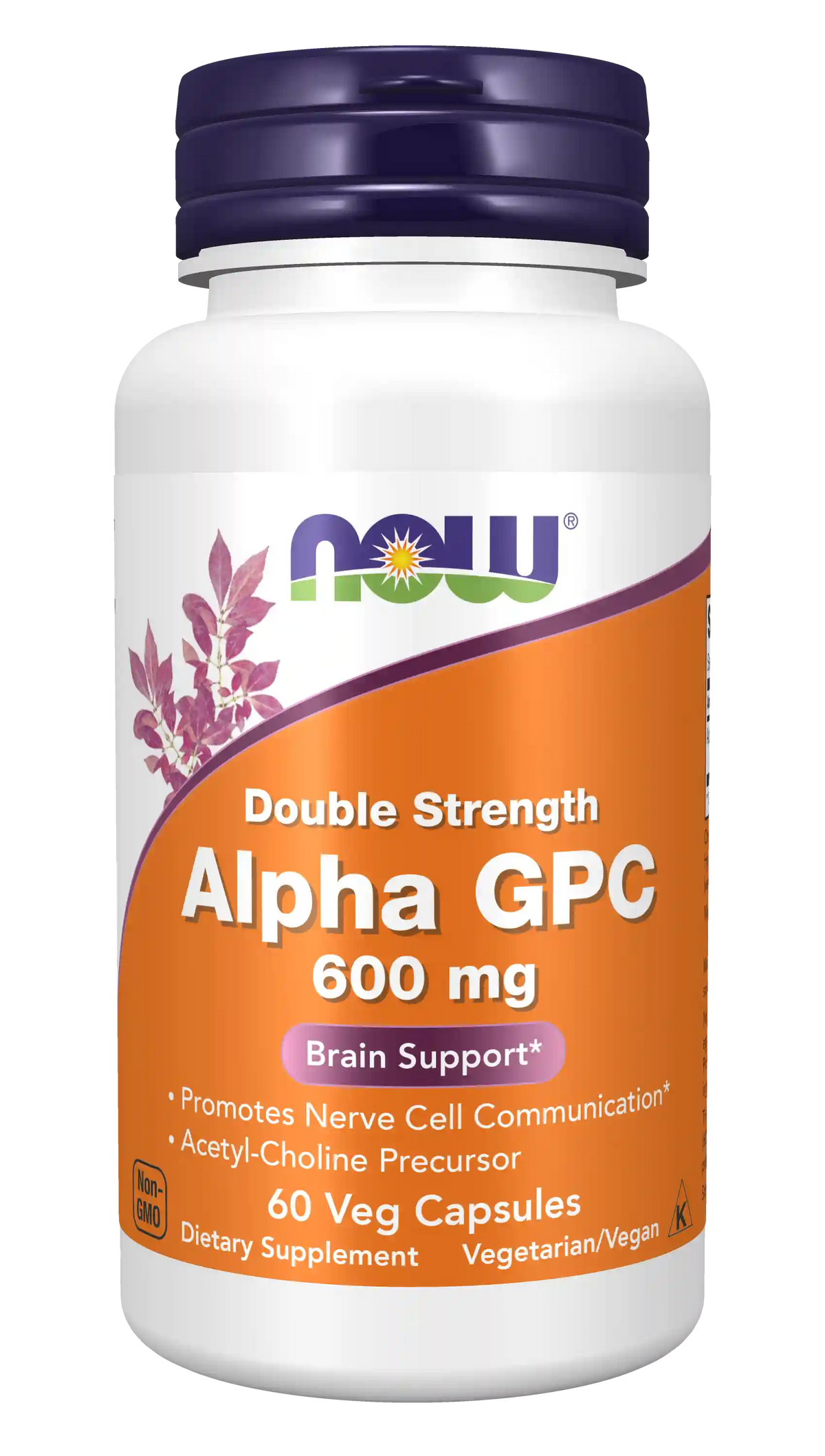 Alpha GPC, Double Strength 600 mg Veg Capsules