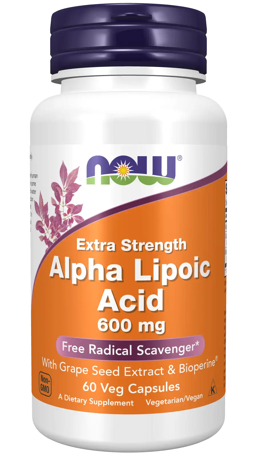 Alpha Lipoic Acid, Extra Strength 600 mg Veg Capsules