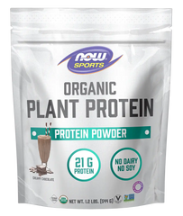 Plant Protein, Organic Creamy Chocolate Powder