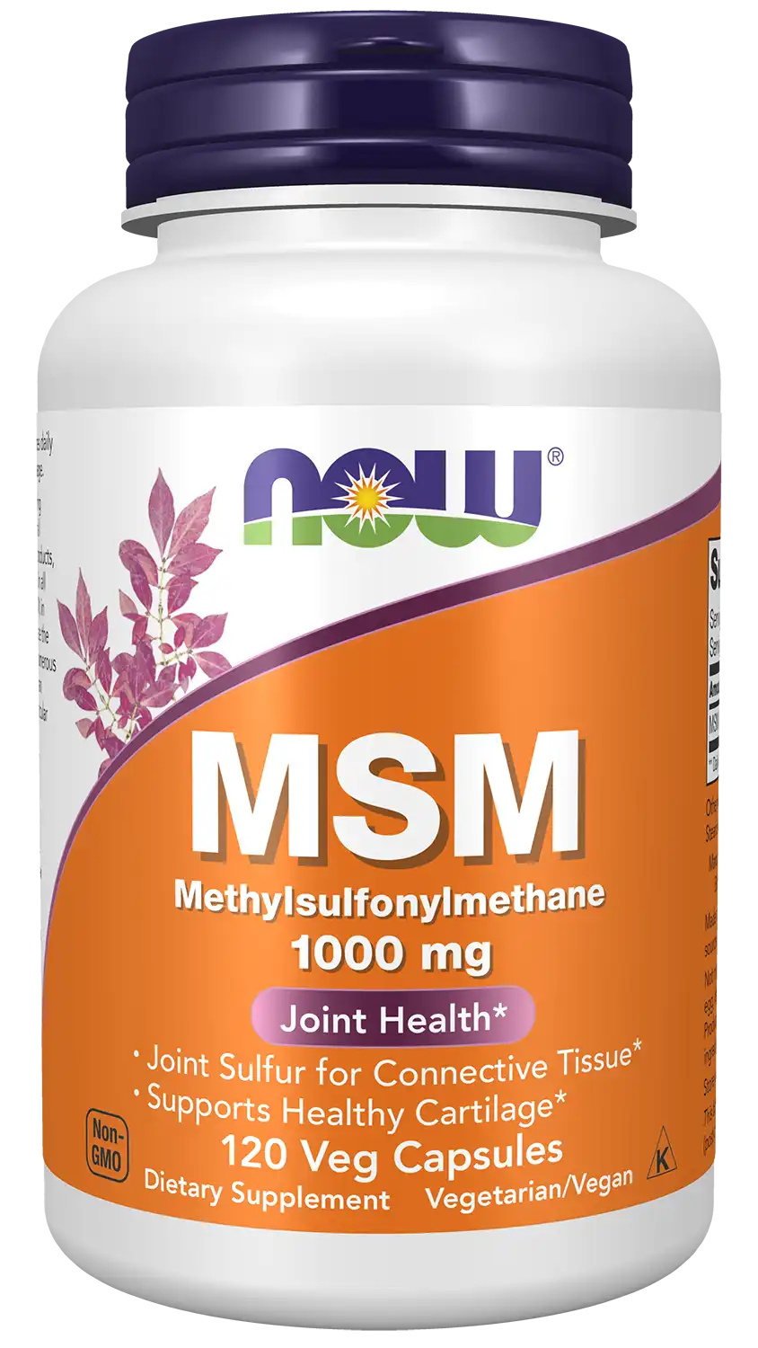 MSM 1000 mg Veg Capsules