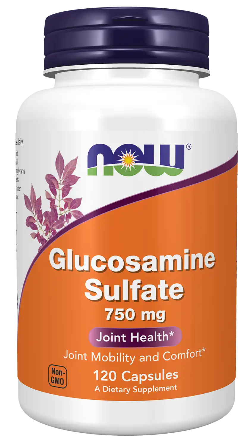 Glucosamine Sulfate 750 mg Capsules