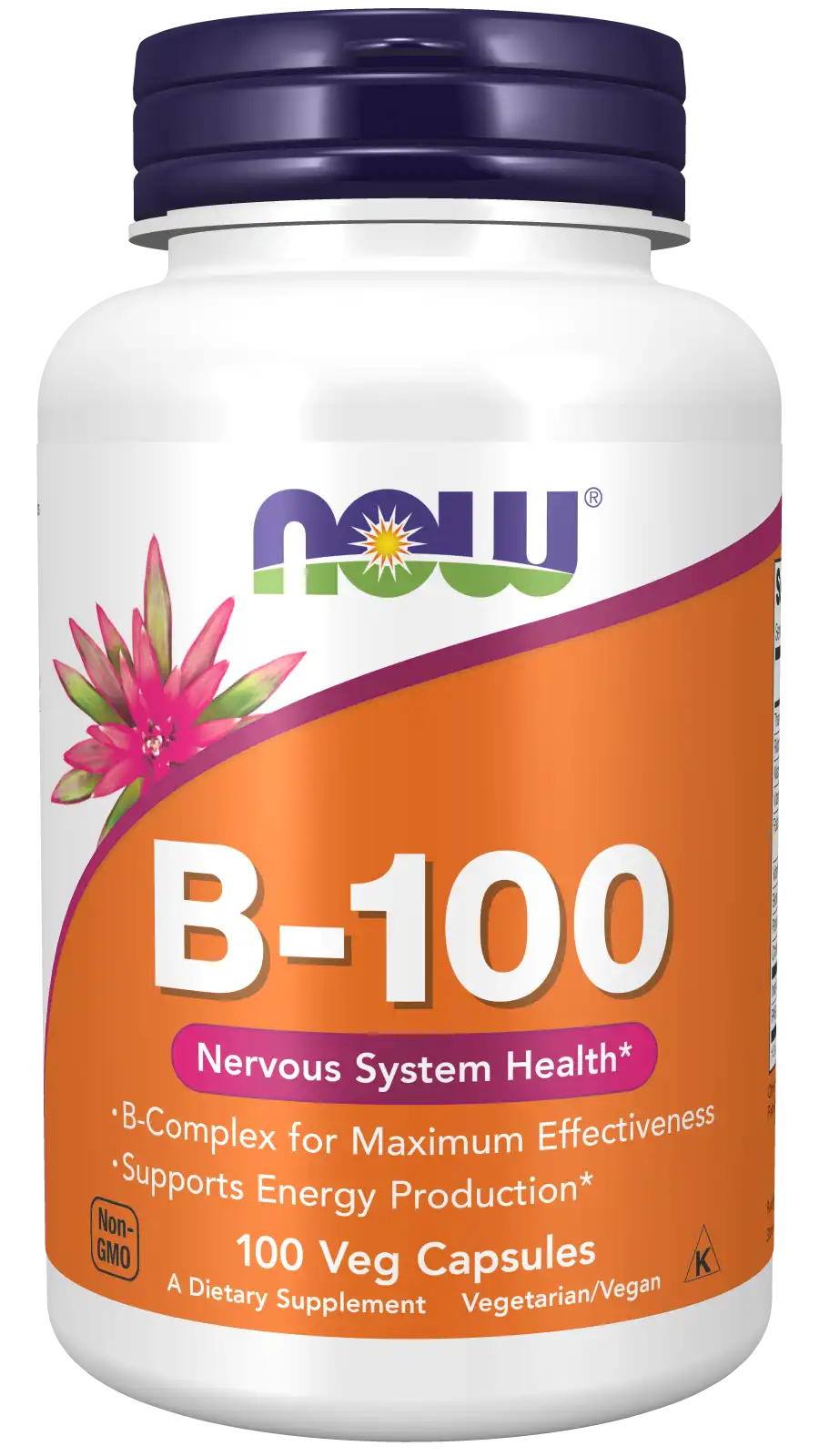 Vitamin B-100 Veg Capsules