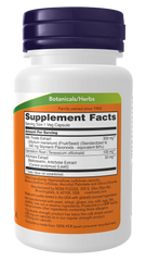 Milk Thistle Extract, Double Strength 300 mg Veg Capsules