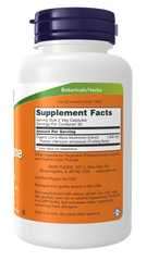 Lion's Mane 500 mg Veg Capsules