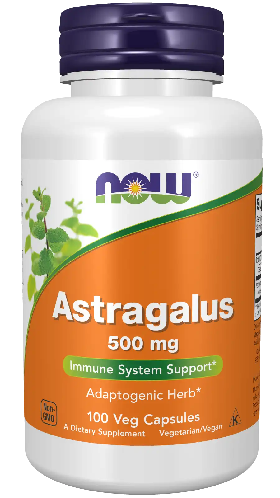 Astragalus 500 mg Veg Capsules
