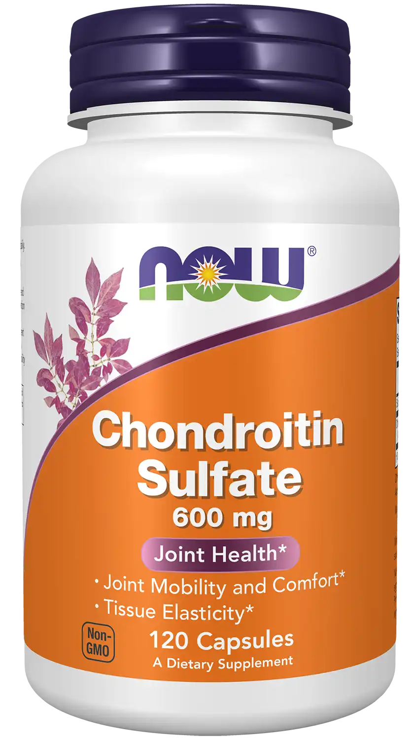 Chondroitin Sulfate 600 mg Capsules