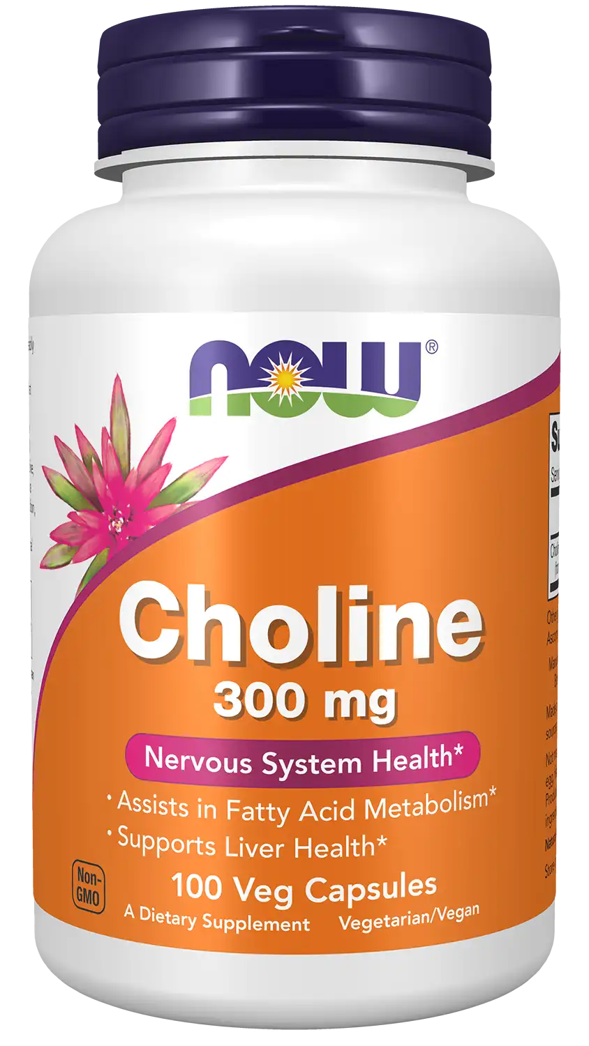 Choline 300 mg Veg Capsules