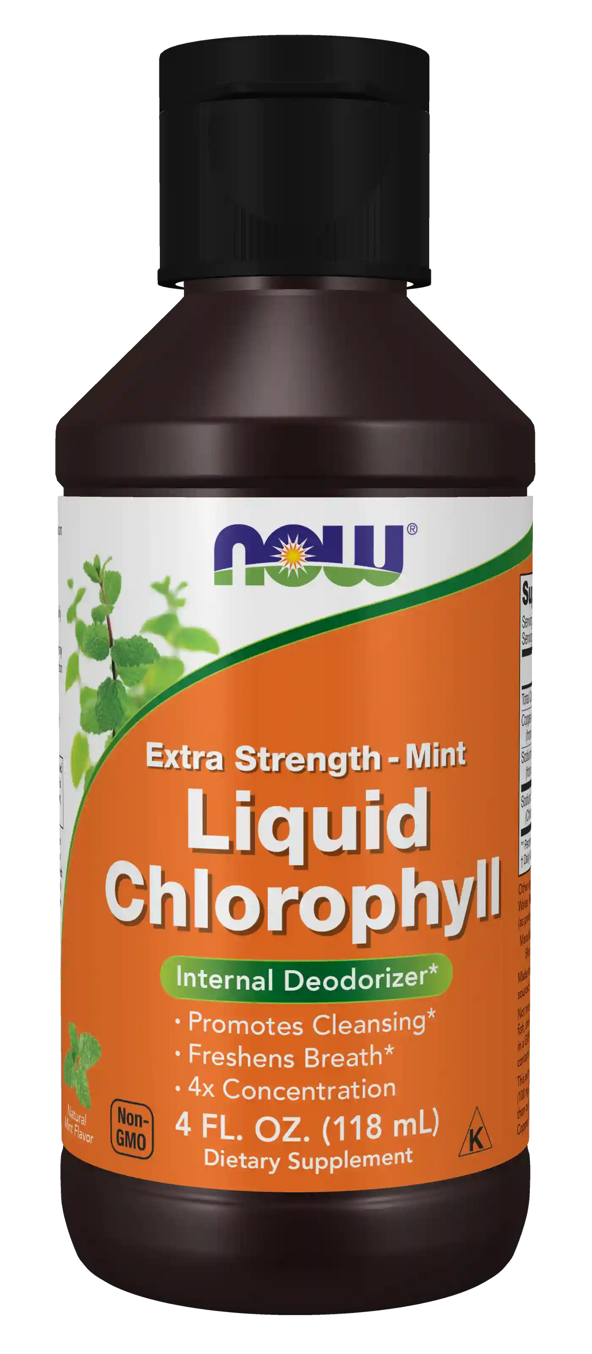 Chlorophyll Liquid, Extra Strength Mint