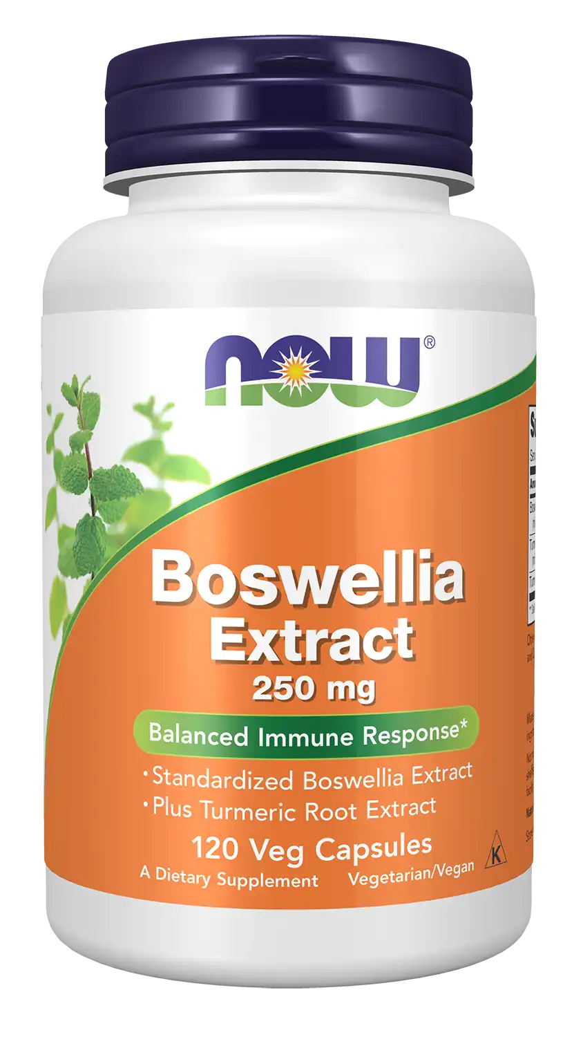 Boswellia Extract 250 mg Veg Capsules
