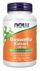 Boswellia Extract 250 mg Veg Capsules
