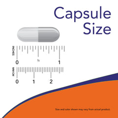 Immune PostBiotic Capsules
