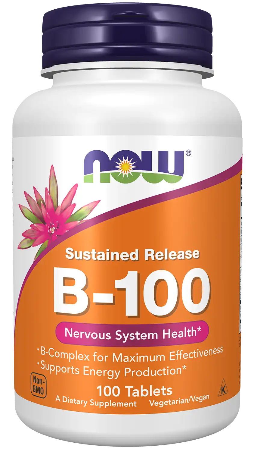 Vitamin B-100 Sustained Release Tablets