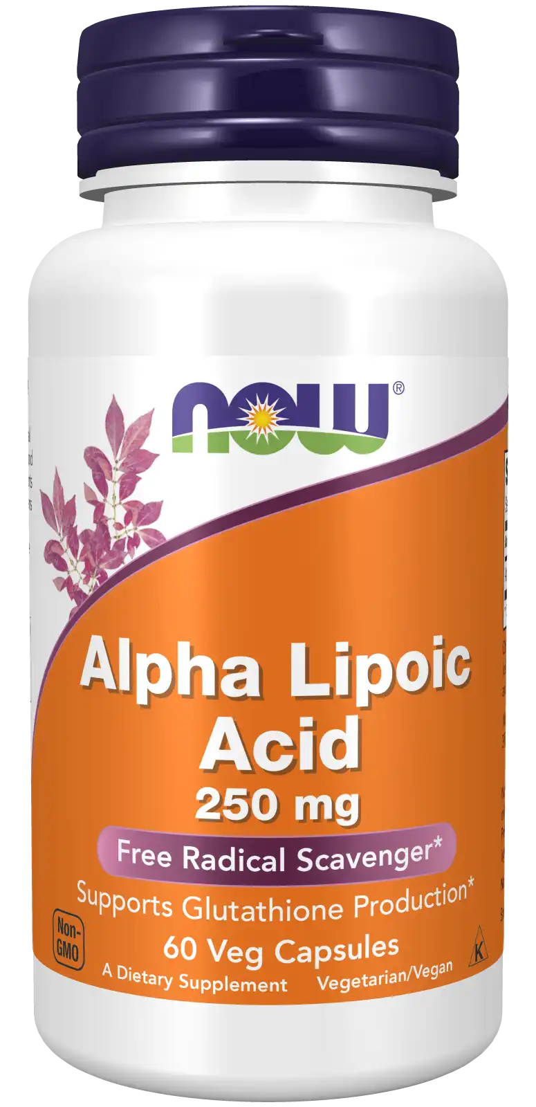 Alpha Lipoic Acid 250 mg Veg Capsules