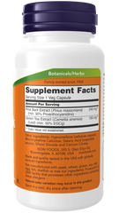 Pine Bark Extract 240 mg Veg Capsules